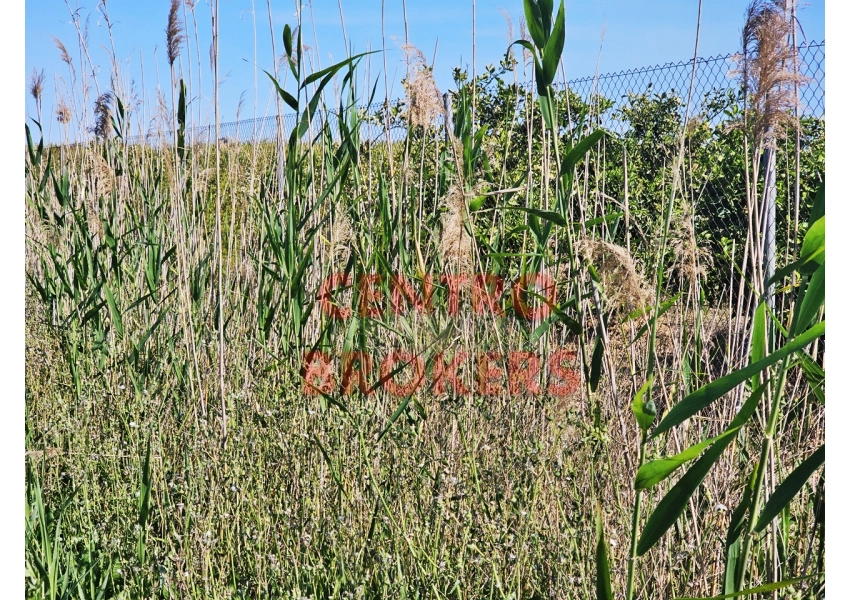 Ziemia rolna - grunt rolny w Cullera, Walencja